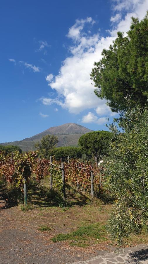 Beb Casale Pompei Rendine Villa Boscotrecase Eksteriør bilde