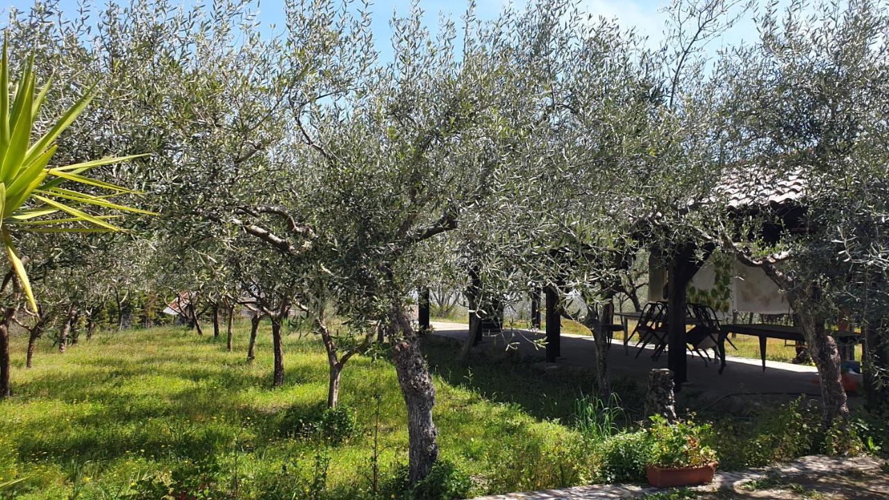 Beb Casale Pompei Rendine Villa Boscotrecase Eksteriør bilde