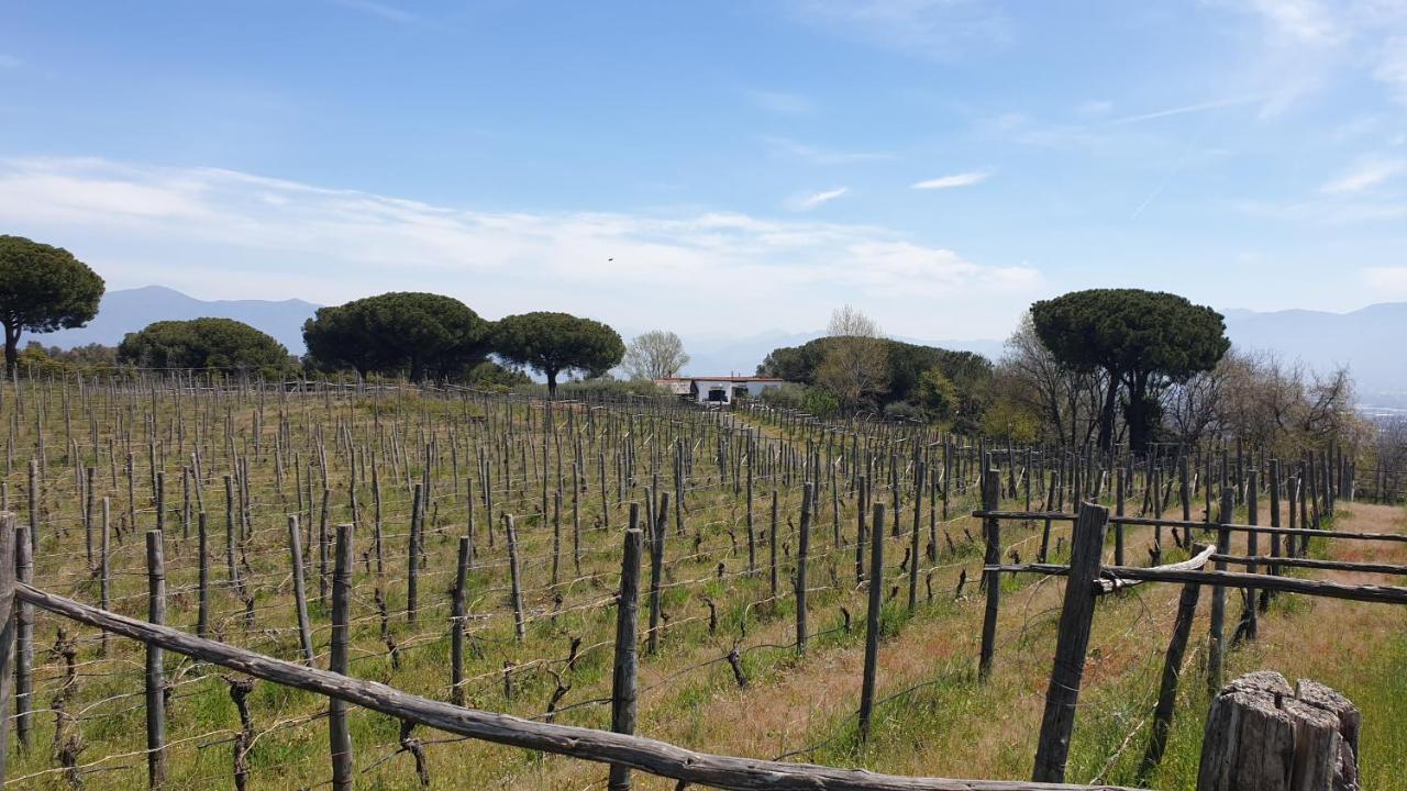 Beb Casale Pompei Rendine Villa Boscotrecase Eksteriør bilde