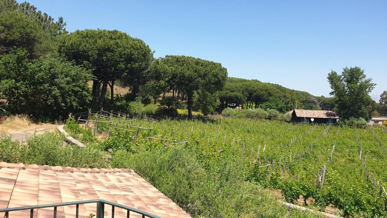 Beb Casale Pompei Rendine Villa Boscotrecase Eksteriør bilde